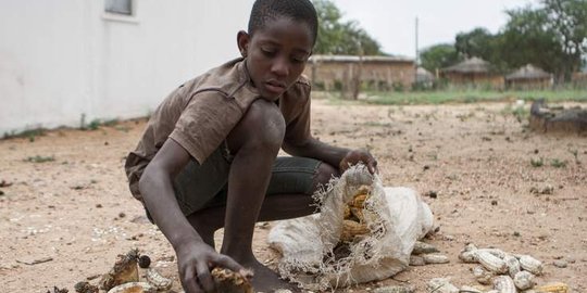 Kelaparan, empat juta warga Zimbabwe butuh bantuan makanan