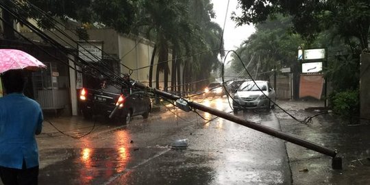 Jakarta diguyur hujan deras, awas pohon dan tiang listrik tumbang