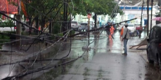 Hujan sebabkan banjir & pohon serta tiang listrik tumbang di Jakarta
