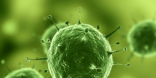 Archaebacteria dan Eubacteria, di kingdom mana mereka?