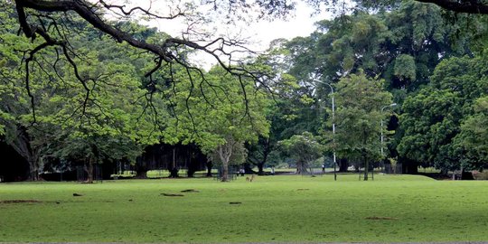 Putri Belgia senang berada di Kebun Raya Bogor merdeka com