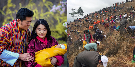 Sambut kelahiran putera mahkota, Bhutan tanam 108.000 pohon