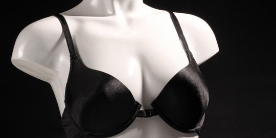 penopang bra rev1