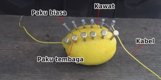 eksperimen buah lemon