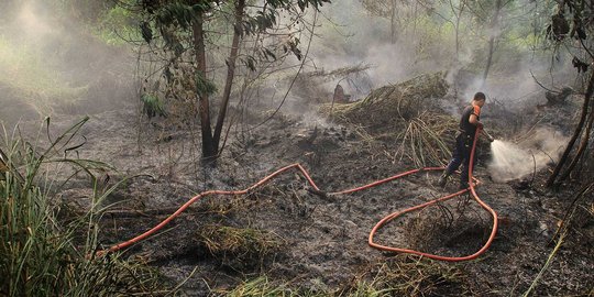 APP alokasikan dana Rp 262 M untuk pencegahan kebakaran hutan