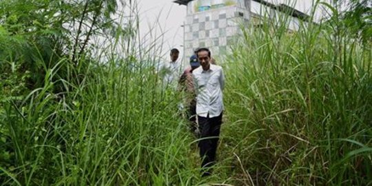 Sindiran politik tingkat tinggi Presiden Jokowi
