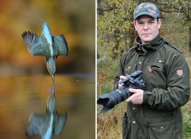 foto burung kingfisher karya alan mcfadyen