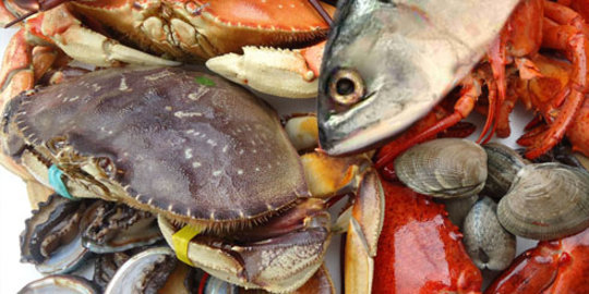 Jangan terbuai 5 makanan laut ini sembunyikan bahaya buat 