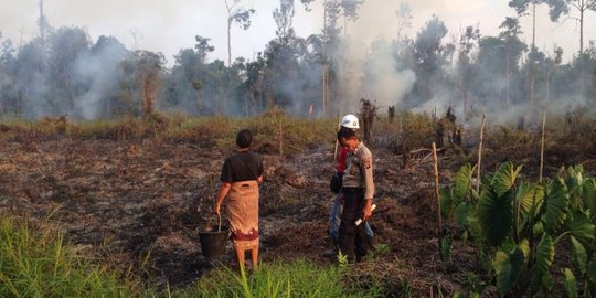 Bakar hutan buat buka lahan, pasutri ditangkap polisi