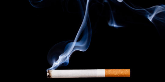 Petani tembakau dilema cukai rokok naik tapi konsumsi menurun