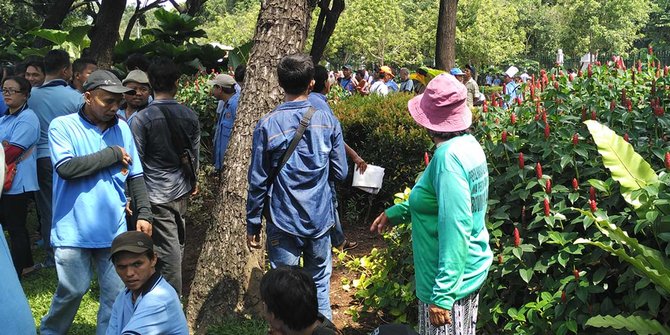 Ahok kagum ibu dari dinas pertamanan DKI marah taman diinjak pendemo