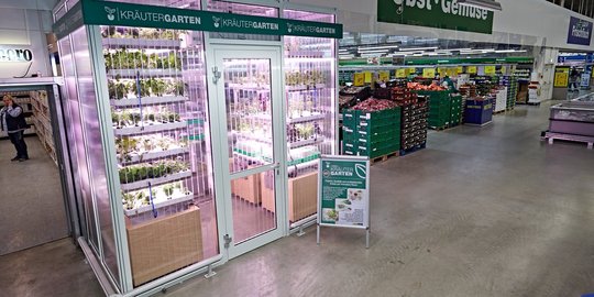 Sayuran segar di supermarket ini ditanam langsung di dalam toko