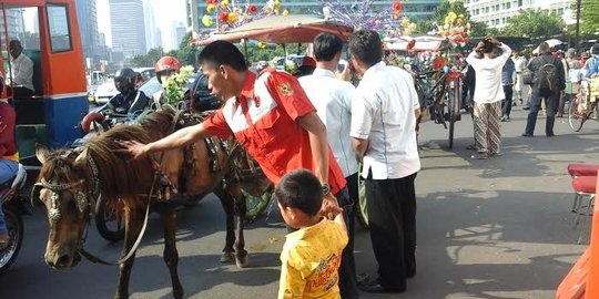 Pernah dipakai kampanye Jokowi, delman Monas ogah pindah ke Ragunan