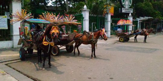 Pengunjung tolak delman terjangkit virus dipindah ke Ragunan