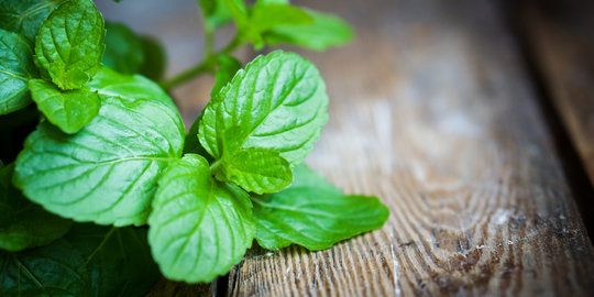 Ajaib 5 Minuman Ini Sanggup Larutkan Batu Empedu Secara Alami Merdeka Com