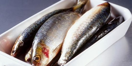mau pudarkan stretchmark? konsumsi 16 makanan sehat ini