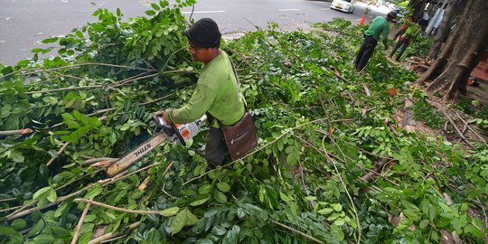 Pohon tumbang bikin 1 pemotor tertimpa & KA Solo-Wonogiri tertahan