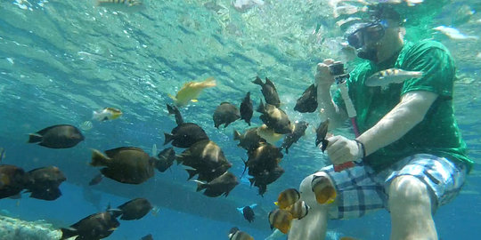 Menjelajahi pesona keindahan bawah laut Taman Nasional Bunaken