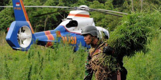 Penemuan 189 hektar ladang ganja di Aceh