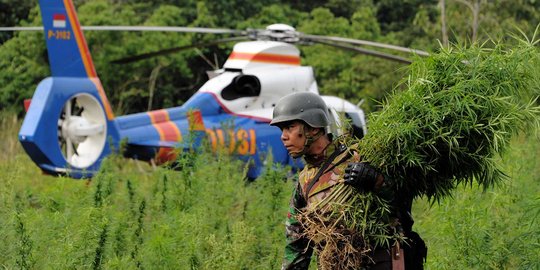 Kapolri akan beri Polda Aceh helikopter untuk melacak ladang ganja