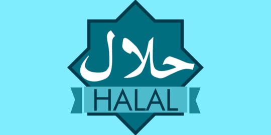 Tiru Thailand, Indonesia akan buka kawasan industri halal