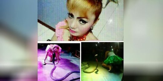 Fakta-fakta tragis pedangdut Irma Bule tewas dipatuk kobra