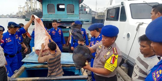 Penyelundupan kayu bakau ke Malaysia dari Riau digagalkan