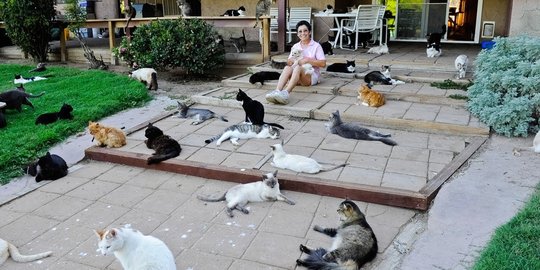 Wanita ini rela jadi gelandangan akibat memelihara 24 ribu kucing