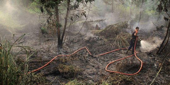 Cegah kebakaran hutan, Sinar Mas bangun ruang komando Rp 65 M