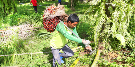 PT BUM bantah ada penutupan pabrik oleh warga