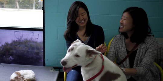 Mengunjungi uniknya kafe anjing pertama di Los Angeles