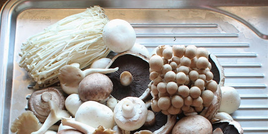 Bagaimana Fungi Ascomycota bisa berkembang biak