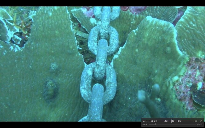 terumbu karang di raja ampat