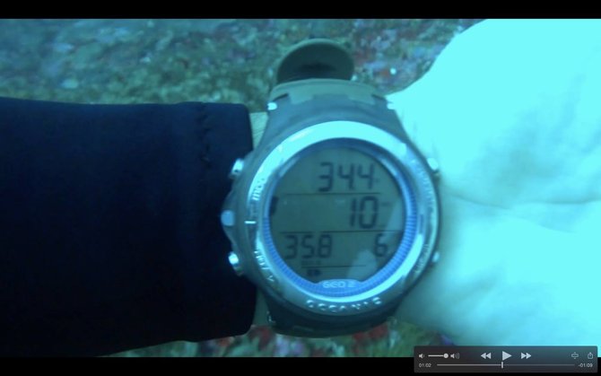 terumbu karang di raja ampat