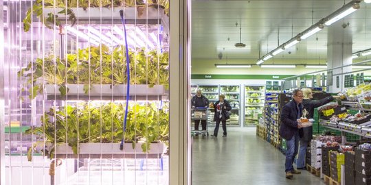 Wah, di dalam supermarket ini ada kebun sayuran segar