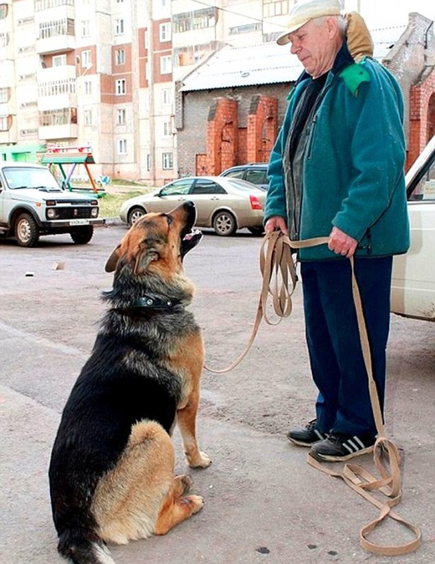 davydov dan anjingnya