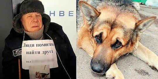 istri dan kehilangan anjing pria ini meninggal patah hati rev3