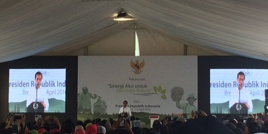 Pangkas kemiskinan, Jokowi jadikan Brebes proyek percontohan