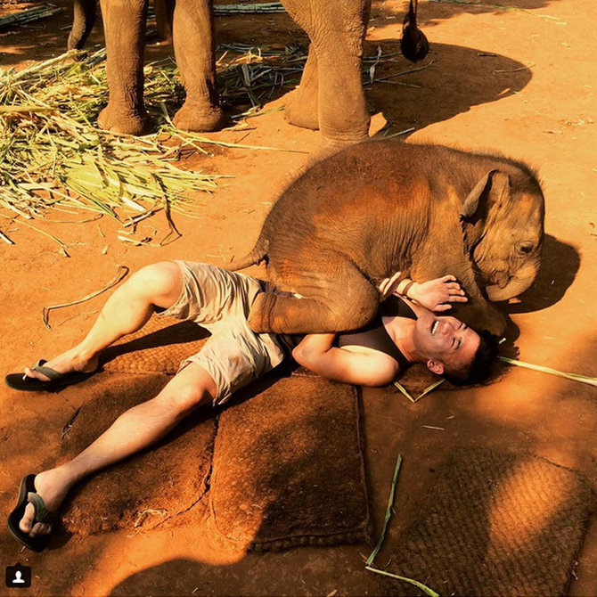 nampuu bayi gajah di patara elephant farm thailand