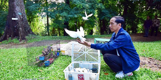 Jokowi canangkan Gerakan Nasional Penyelamatan Tumbuhan & Satwa Liar