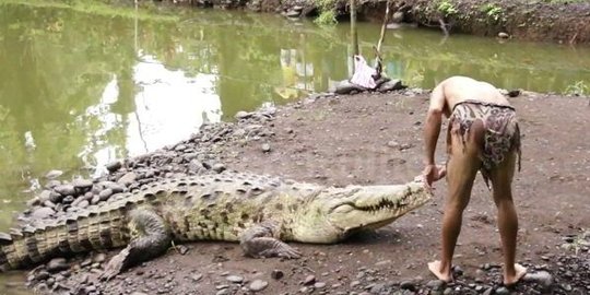 buaya yang tak bisa dipisahkan dari penolongnya
