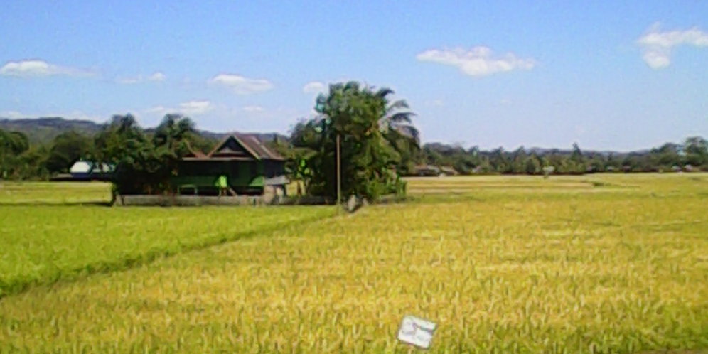 Pertanian Di Masa Awal Peradaban Manusia Seperti Apa Ya Merdeka Com