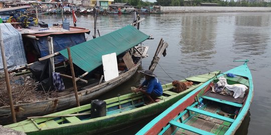 Penggusuran Luar Batang, Komnas HAM tuding Ahok langgar HAM