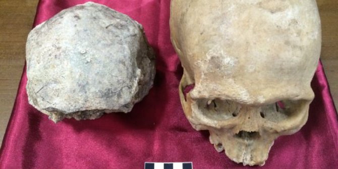 Tengkorak Homo Erectus di Sragen lebih kecil dari kepala manusia | merdeka.com