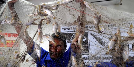 Nelayan tunjukkan hasil tangkapan ikan dari Teluk Jakarta