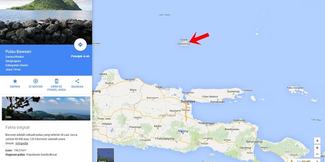babi bawean