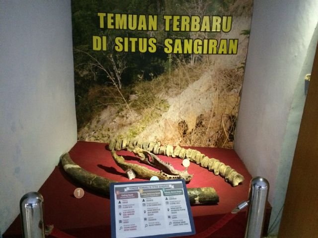 museum purbakala sangiran