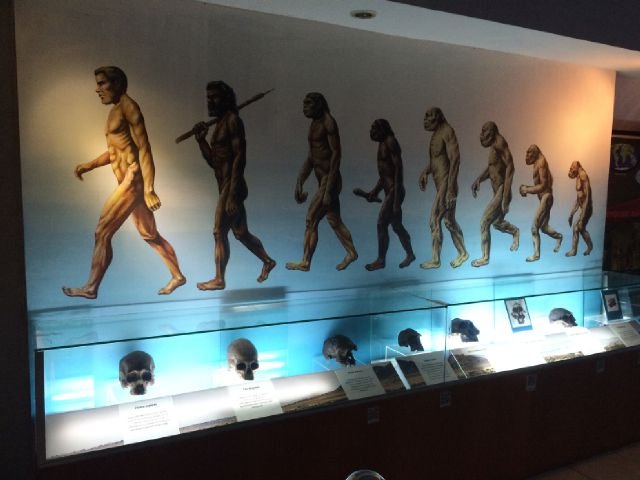 Menengok kehidupan manusia masa lalu di Museum Sangiran 