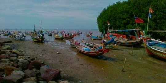 Nelayan udang di Serang ikut jadi korban reklamasi teluk Jakarta