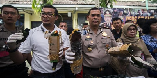 34 burung langka Papua selundupan disimpan di dalam botol